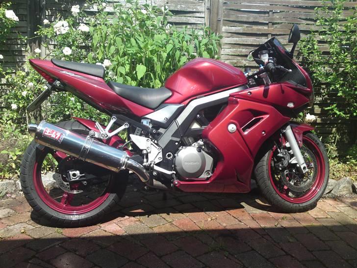Suzuki SV 1000s - Cykel, inden den blev malet om, i vinteren 2010 billede 6