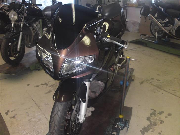 Suzuki SV 1000s billede 7