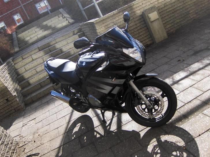 Suzuki GS500 F (død) billede 1