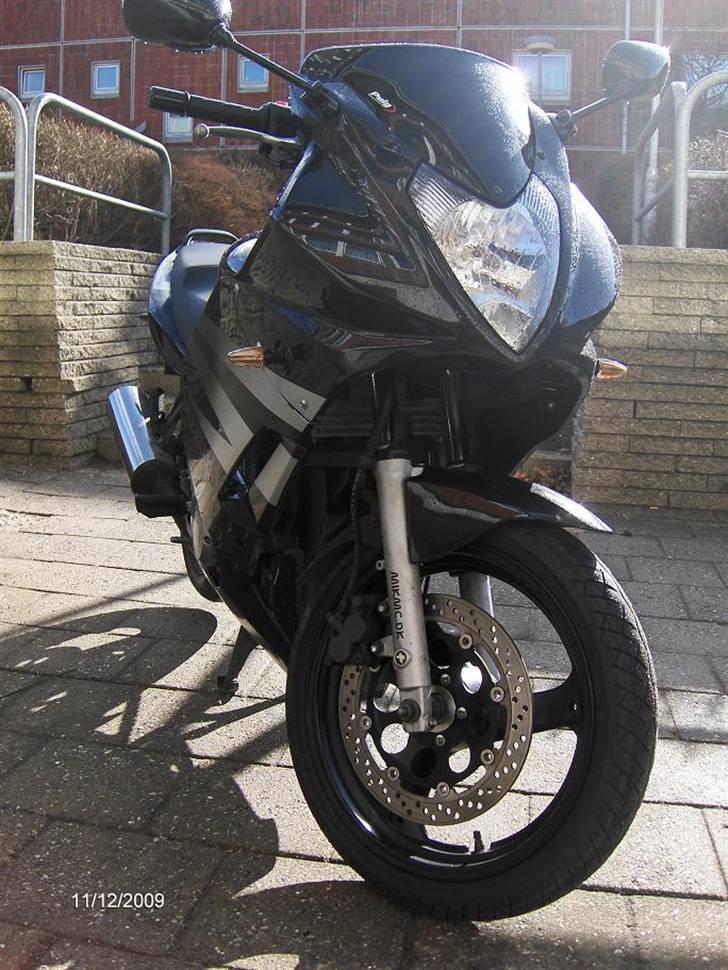 Suzuki GS500 F (død) billede 2