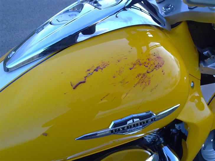 Suzuki vzr 1800 solgt - sådan ser en gråspurv ud efter en kraftig acceleration fra ca 2km/t til 210 km/t billede 4