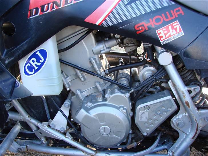 Hyosung TE450R *solgt* billede 11
