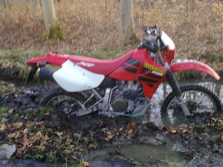 Honda XR 650 R  billede 14