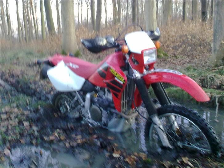 Honda XR 650 R  billede 15