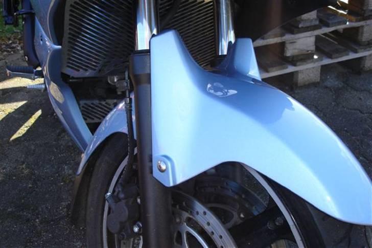 Suzuki DL 650 V-Strom billede 10