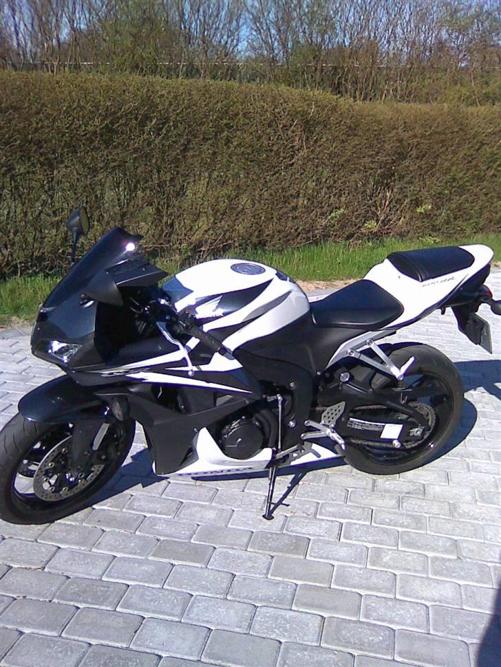 Honda CBR 600rr billede 4