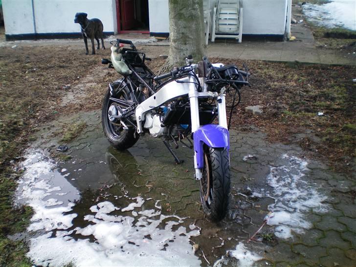 Aprilia AF 1 125 Replica billede 16