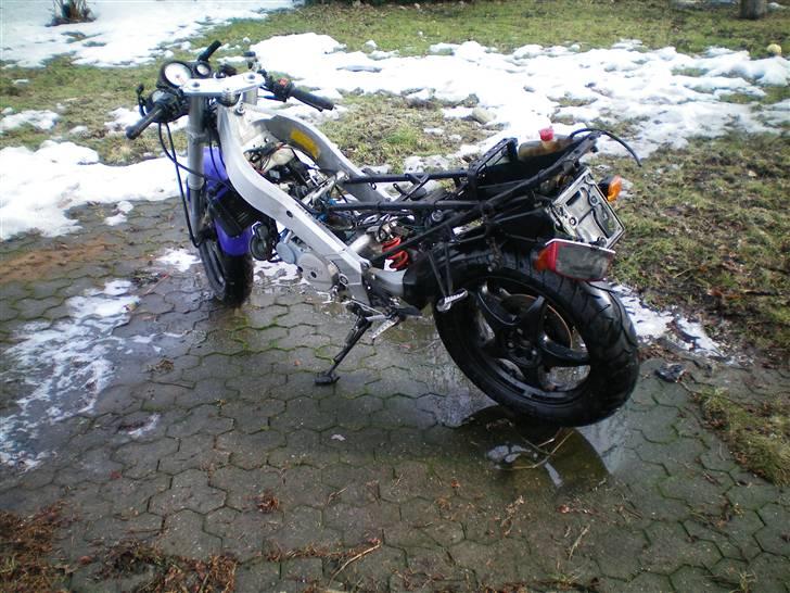 Aprilia AF 1 125 Replica billede 17