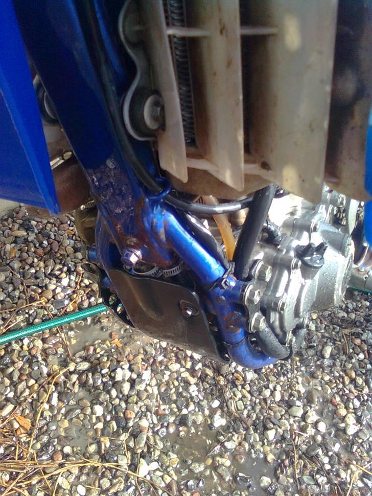 Yamaha Yz 450 f ´´Lille Else´´ billede 12