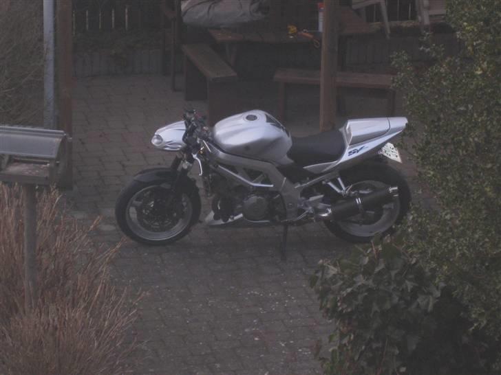 Suzuki SV1000n billede 11