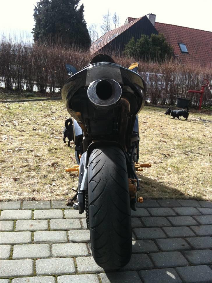 Kawasaki ZX6R Ninja *TIL SALG* billede 9