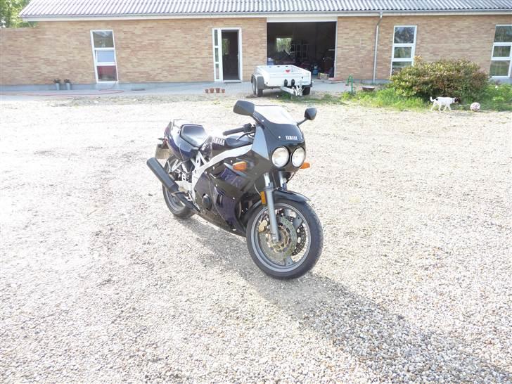 Yamaha FZR 400  billede 1