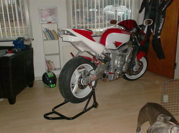 Yamaha YZF R6 *DØD* billede 11