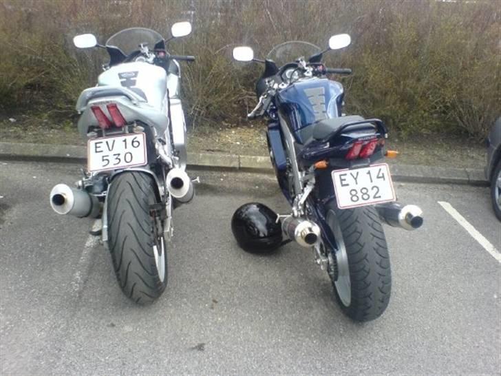 Suzuki Sv 1000 S billede 6