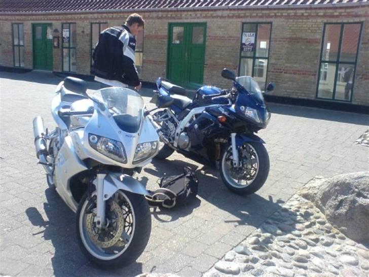 Suzuki Sv 1000 S billede 7