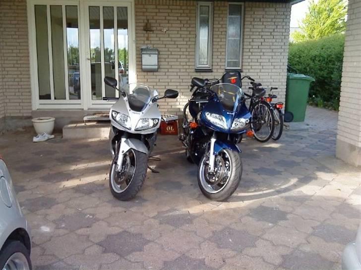 Suzuki Sv 1000 S billede 8