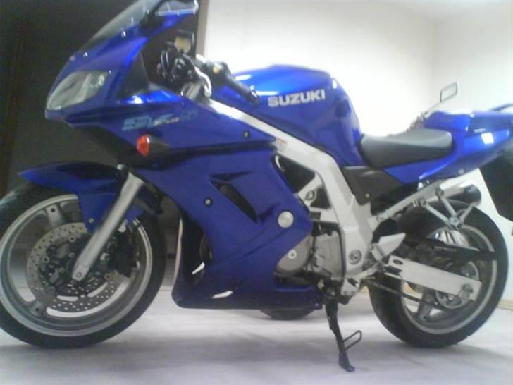 Suzuki SV 650 billede 1