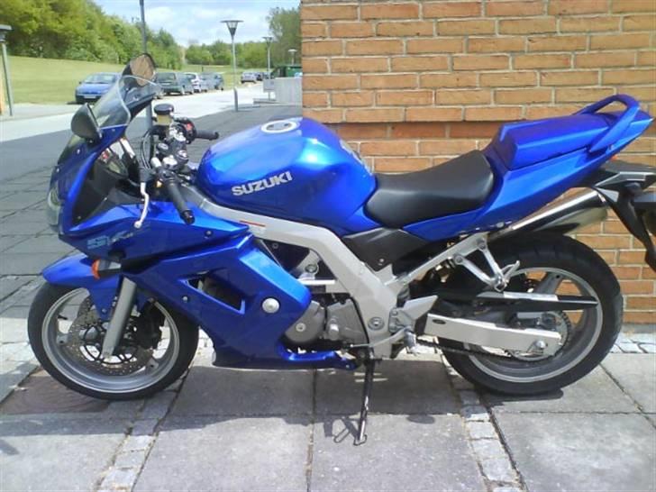 Suzuki SV 650 billede 2