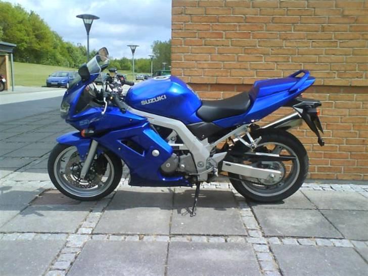 Suzuki SV 650 billede 3