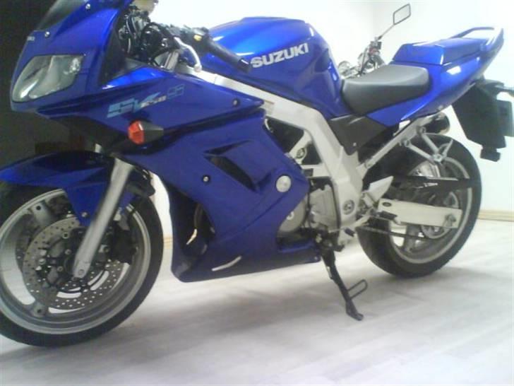 Suzuki SV 650 billede 5