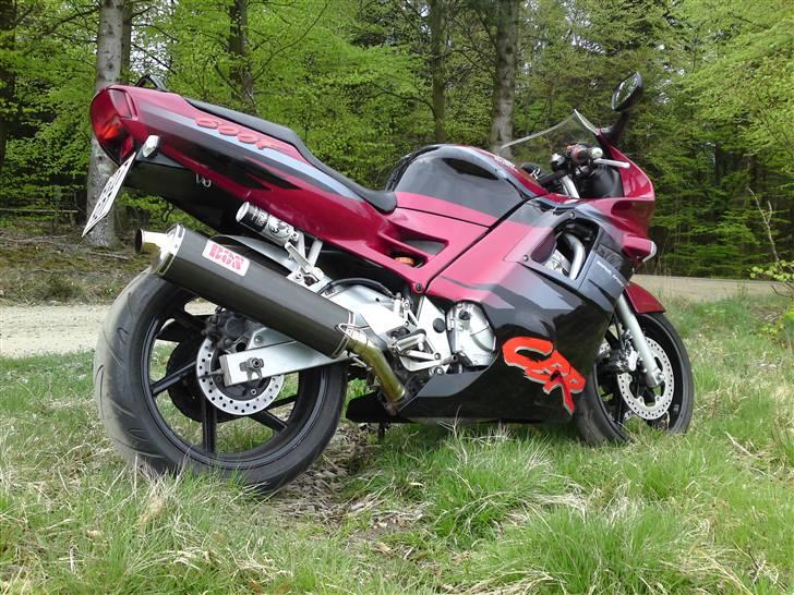 Honda CBR 600 F2  - På skovtur billede 6