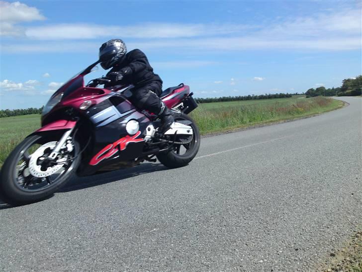 Honda CBR 600 F2  - Ude at nyde vejret billede 7