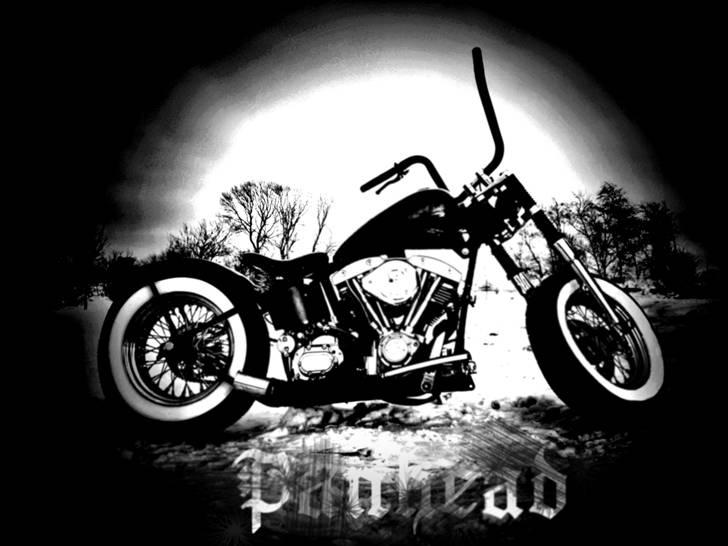 Harley Davidson Panhead FL/shovel pojekt billede 6