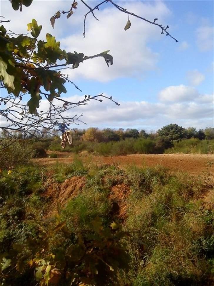 Suzuki RM-Z 250 billede 2