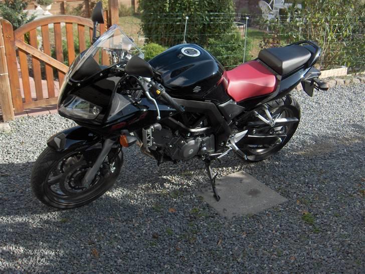 Suzuki SV 650 SA billede 3
