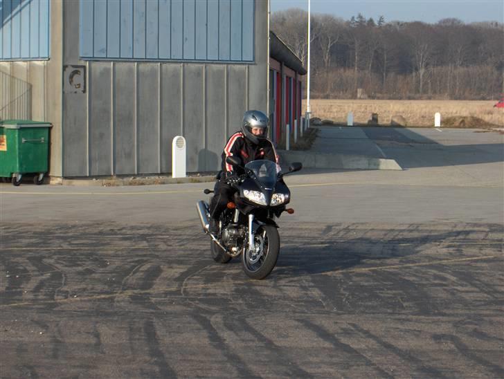 Suzuki SV 650 SA billede 4