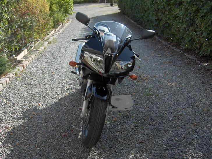 Suzuki SV 650 SA billede 5