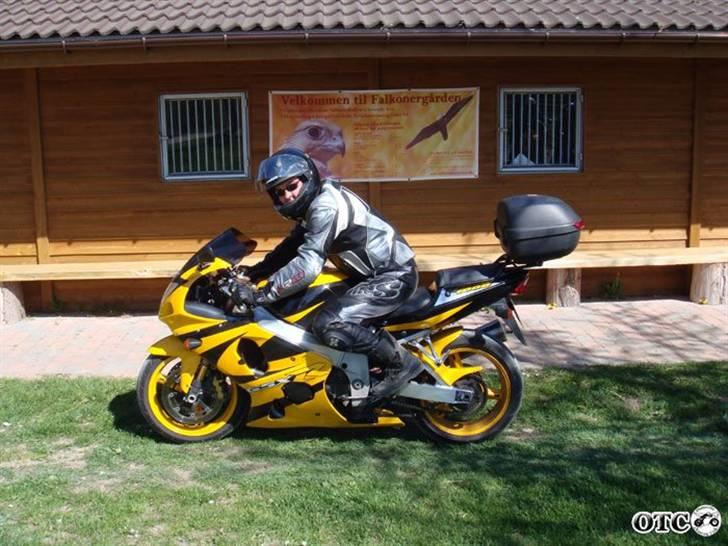 Suzuki gsxr1000 k1 billede 5