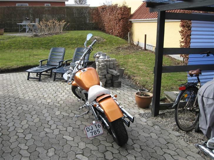 Suzuki vz 800 billede 2