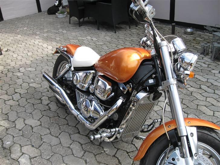 Suzuki vz 800 billede 4