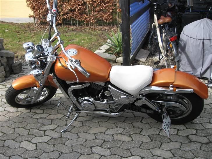 Suzuki vz 800 billede 5