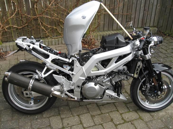 Suzuki SV1000n billede 13