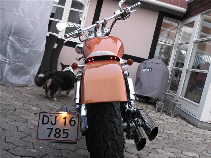 Suzuki vz 800 billede 6