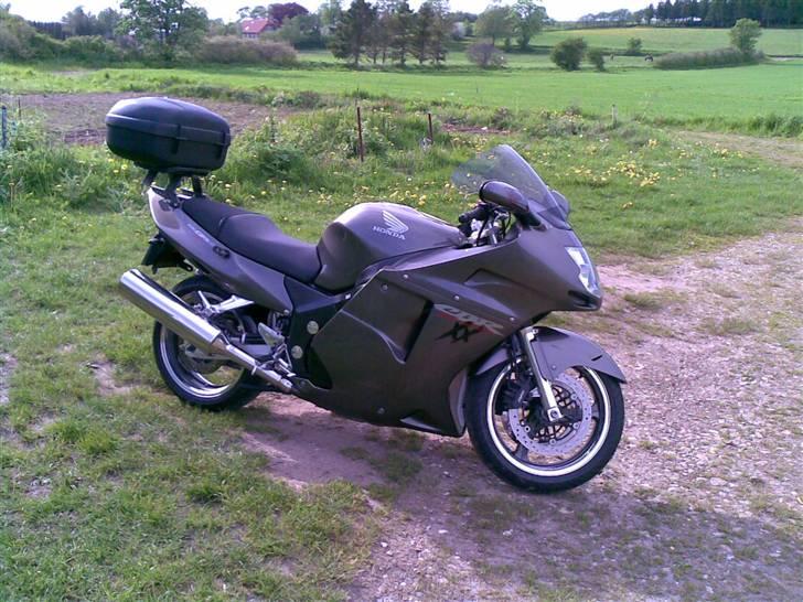 Honda CBR 1100xx Blackbird billede 1