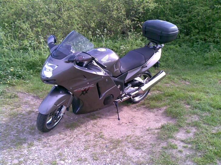 Honda CBR 1100xx Blackbird billede 2