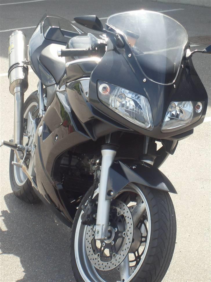 Suzuki SV 650 billede 3