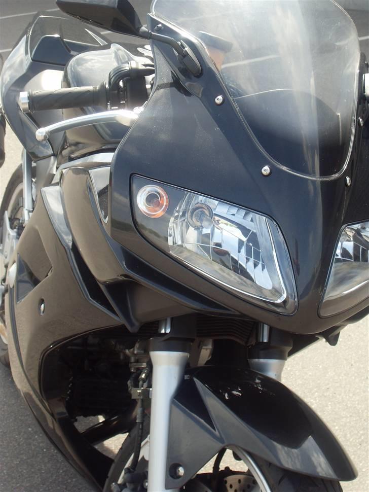 Suzuki SV 650 billede 5