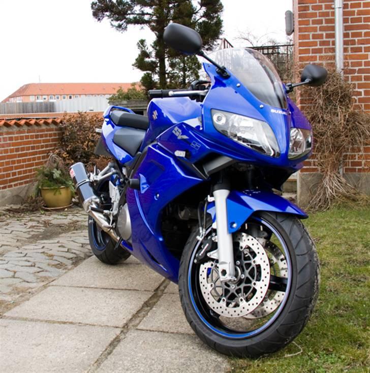 Suzuki SV1000S K7 LE billede 6