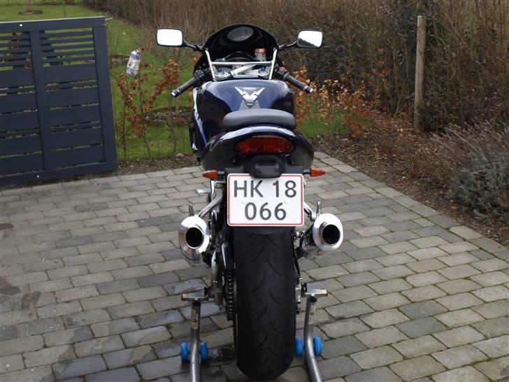Suzuki TL 1000 S - En lækker røv, med en dejlig sprød lyd fra de 2 potter og V2 motoren billede 3