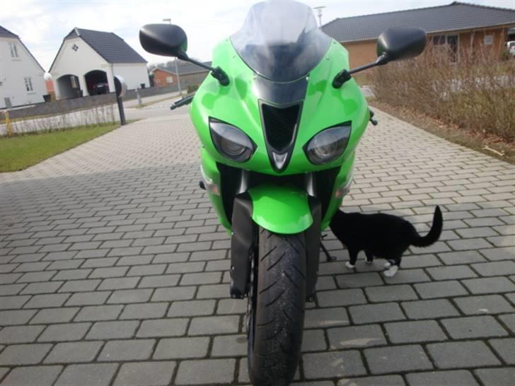 Kawasaki zx6r billede 8