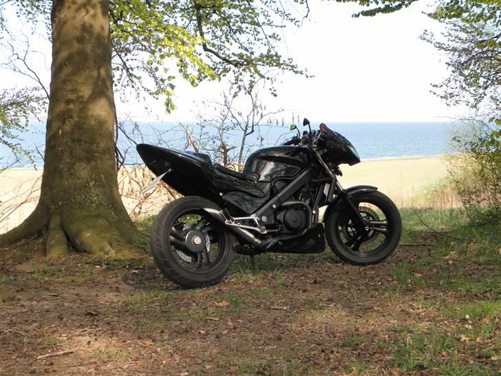 Honda NTV 650 Revere billede 1