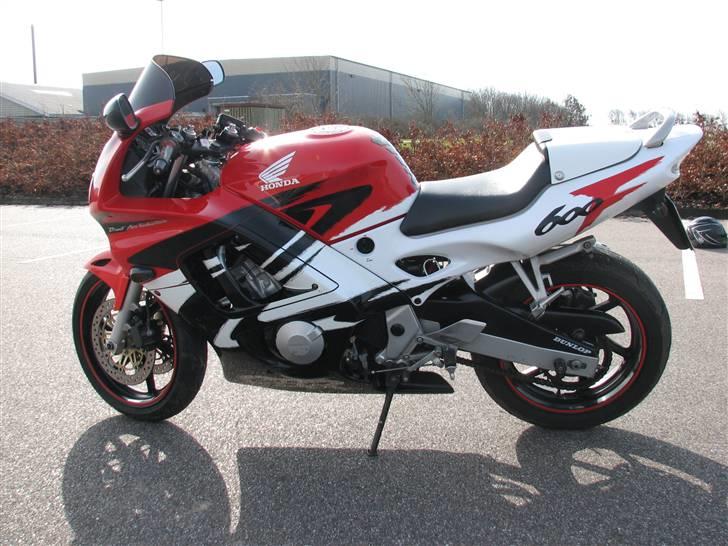 Honda Cbr 600 f3 billede 6