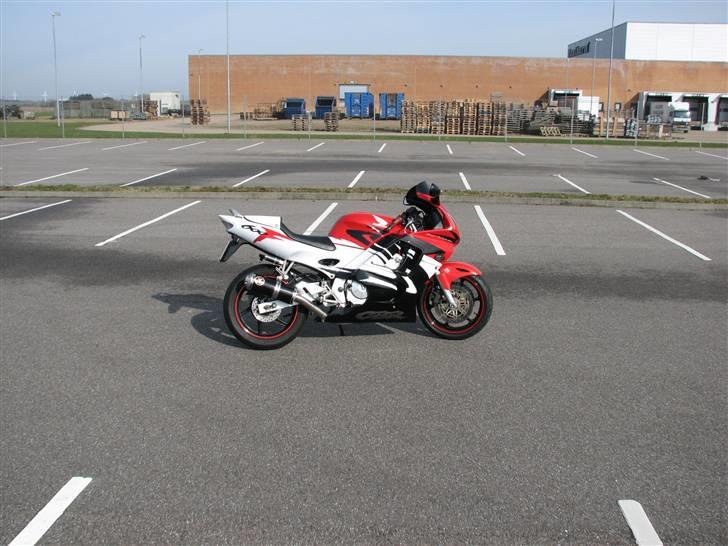Honda Cbr 600 f3 billede 12
