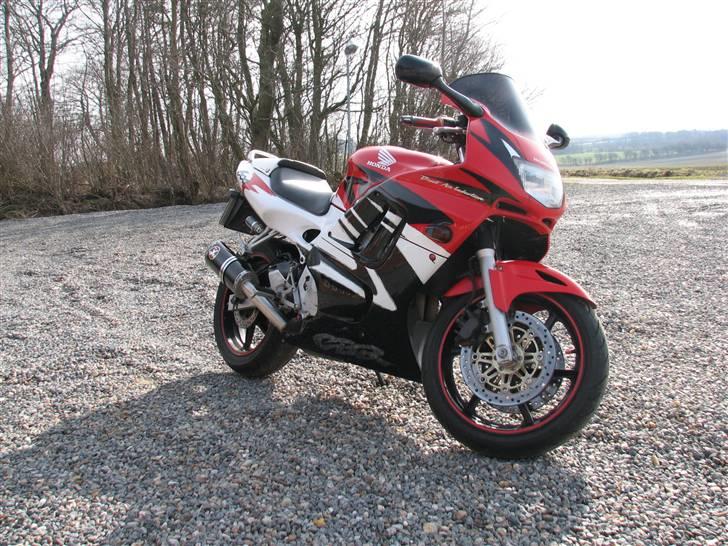 Honda Cbr 600 f3 billede 17