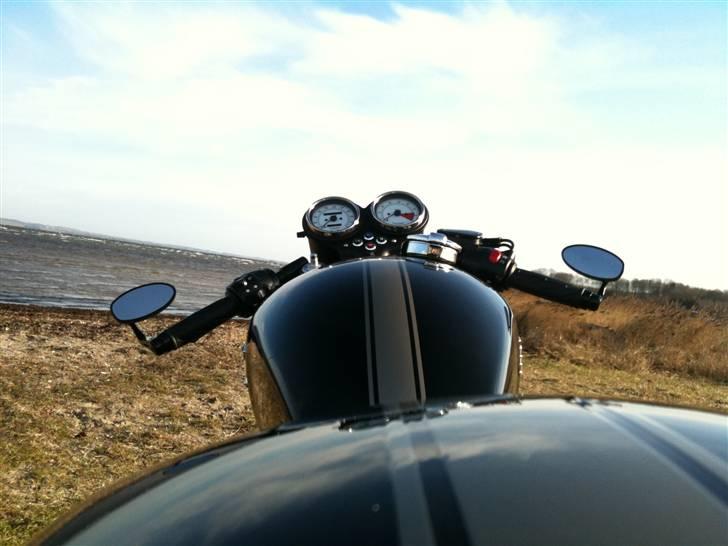 Triumph Thruxton/ Cafe Racer (SOLGT) billede 9