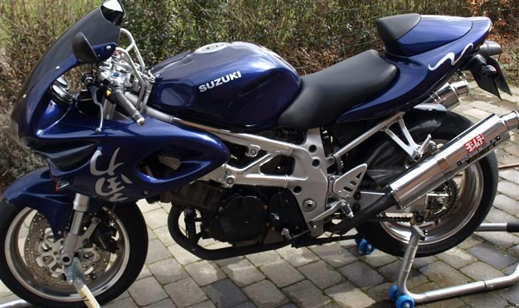 Suzuki TL 1000 S billede 7